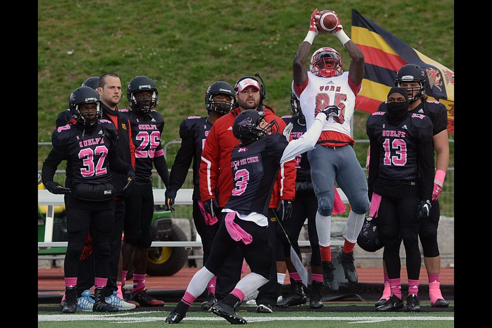 All eyes are on York Lions receiver Alex Daley as he goes up to try and make a catch against the Guelph Gryphons Saturday, Oct. 22, 2016, at Alumni Stadium. Tony Saxon/GuelphToday