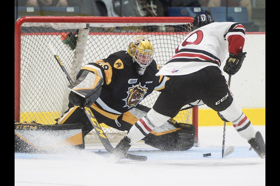 The Guelph Storm's Steve Grant can't quite corral the puck on a breakaway against Hamilton Bulldogs goaltender Nick Donofrio Saturday at the Sleeman Centre. Tony Saxon/GuelphToday