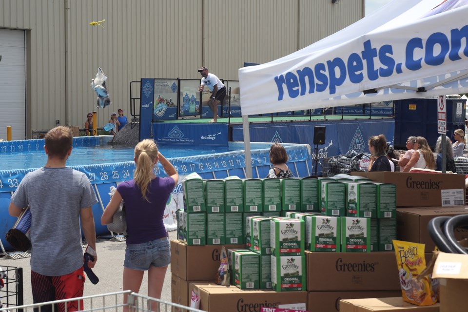 Dogs compete in a qualifying round during a diving event Sunday at Ren's Pet Depot. The DockDogs finals takes place Sunday July 15 at 4 p.m. at Ren's Pet Depot. Kenneth Armstrong/GuelphToday