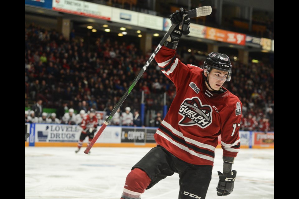 The Guelph Storm's Pavel Gogolev celebrates a goal last season. Tony Saxon/GuelphToday file photo