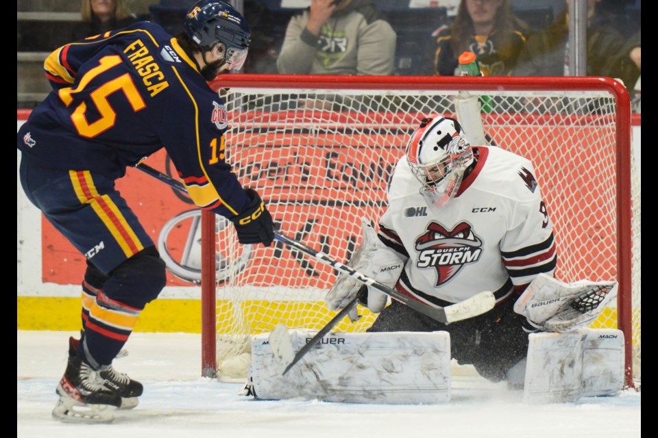 Barrie Colts forward Jacob Frasca is stopped in close by Guelph Storm goaltender Brayden Gillespie Friday at the Sleeman Centre.