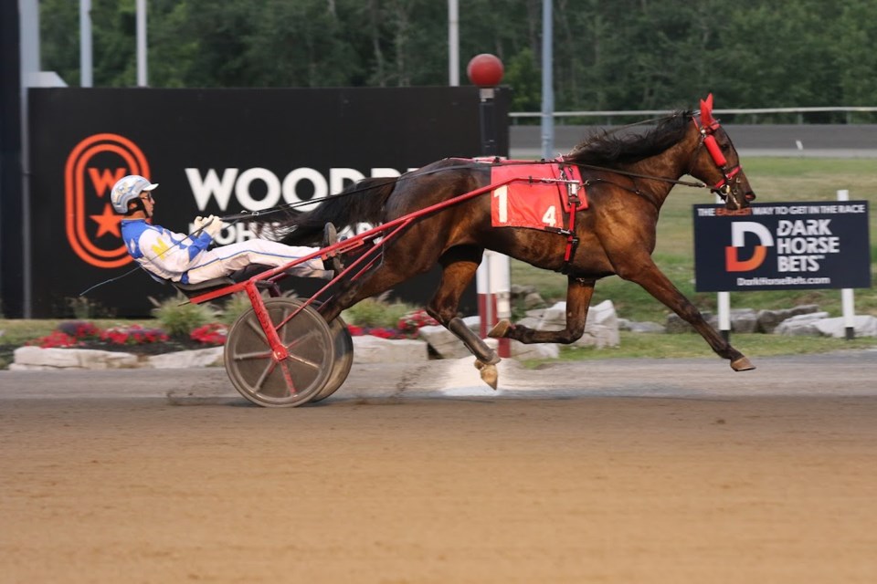 James MacDonald finishes on top of the Maple Leaf Trot race at Woodbine Mohawk Park on Oct. 22, 2021.