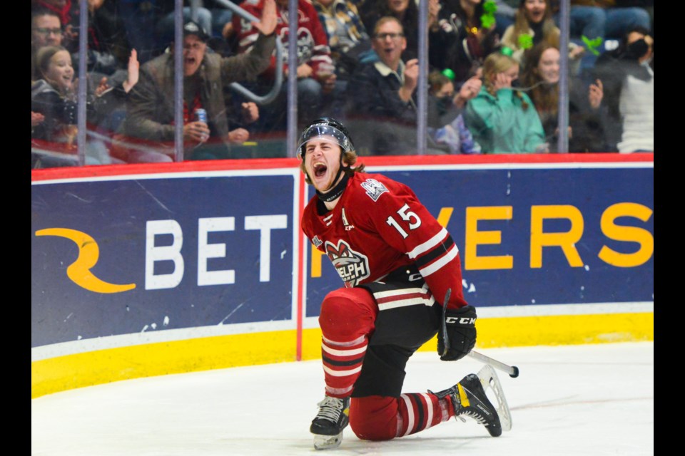 Braeden Bowman of the Guelph Storm celebrates his first period goal against the Sarnia Sting Friday night at the Sleeman Centre.