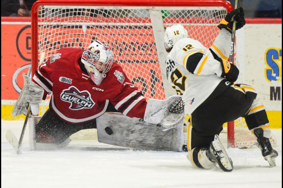 Guelph Storm goaltender Brayden Gillespie robs Sarnia forward Easton Wainwright in the first period Tuesday at the Sleeman Centre.