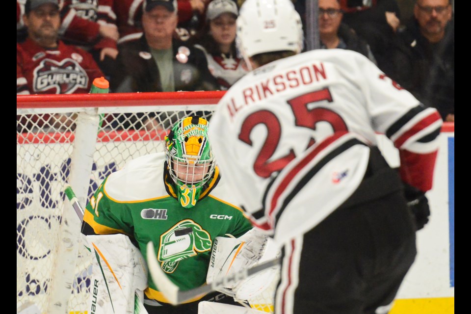 Guelph Storm forward Vilmer Alriksson fires a shot into the midsection of London Knights goaltender Michael Simpson.