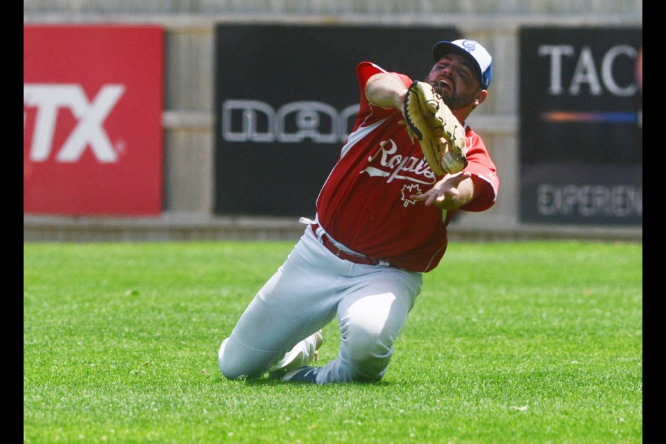 Jeff MacLeod of the Guelph Royals tries to make a sliding catch against the Kitchener Panthers at Hastings Stadium. Tony Saxon/GuelphToday