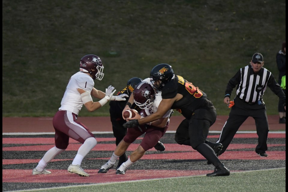 Yusuf Al-Khaldi (44) and Scott Murray (9) of the Guelph Gryphons combine to sack quarterback Andreas Dueck of the McMaster Marauders for a safety during Friday night's OUA football game at Alumni Stadium. McMaster posted a 41-12 victory.