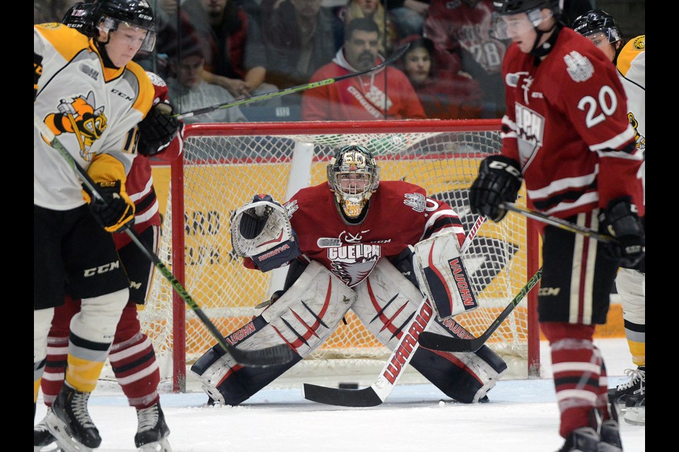 Guelph Storm goaltender Michael Giugovaz concentrates on an incoming shot Tuesday, March 15, 2016, at the Sleeman Centre. Tony Saxon/GuelphToday