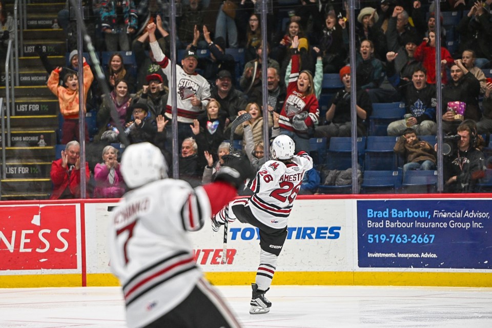 Guelph Storm's Max Namestnikov celebrates one of his two goals in a victory over the Peterborough Petes.
