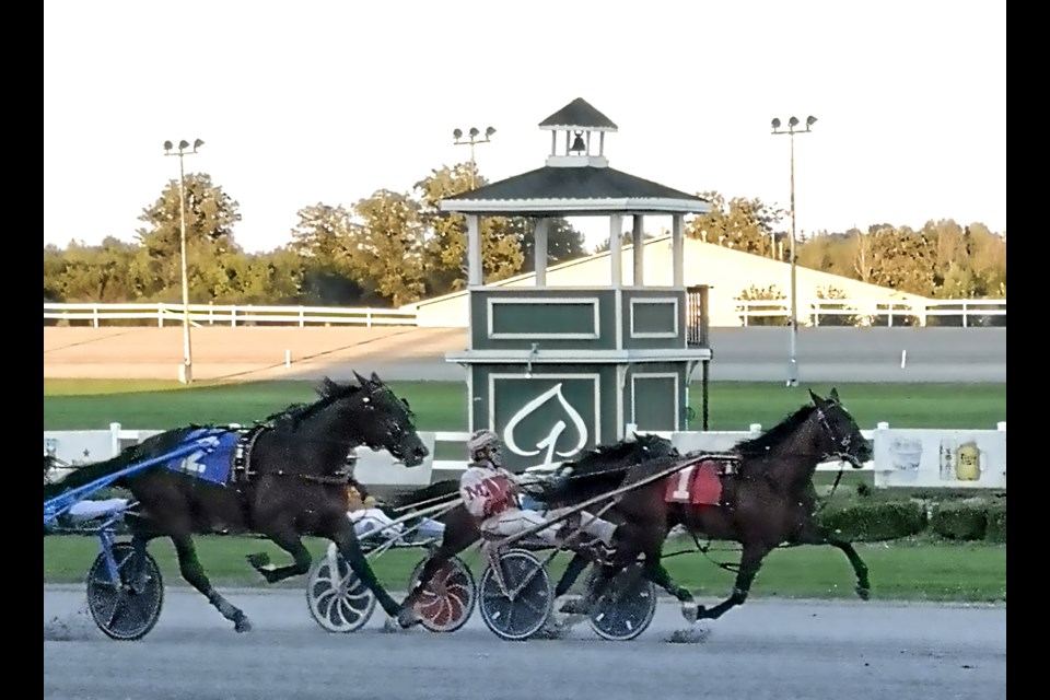 Bill Megens drives Opas Faith across the finish line at Flamboro Downs first in a race there early this month. With the win, 87-year-old Megens became the oldest winning driver in the track's history.