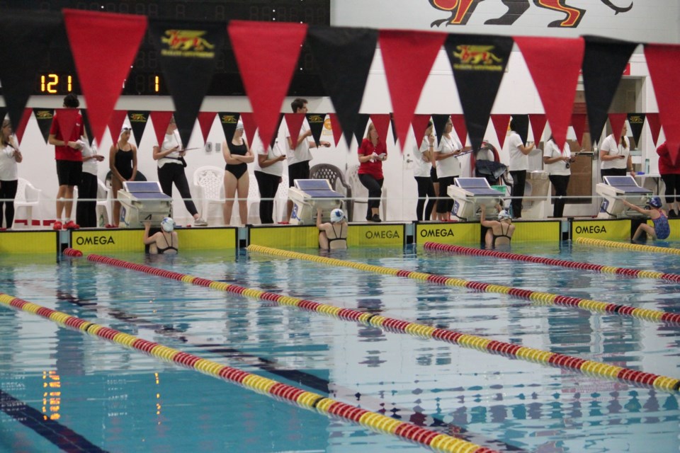 Action from the Guelph Marlin Aquatic Club's November Skills and Thrills Meet.