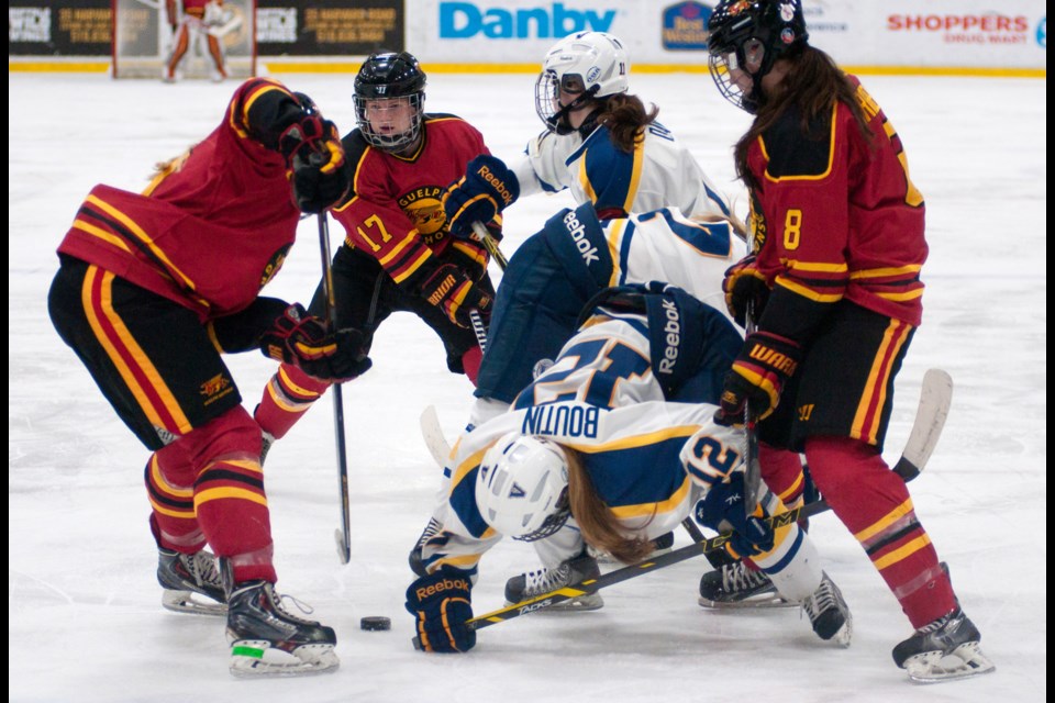 Averi Nooren (17) and Kelly Gribbons (8) of the Guelph Gryphons and Jeanne Boutin (12) of the Laurentian Voyageurs are among the players battling for the puck in OUA women's hockey playoff action Saturday at the Gryphon Centre. Laurentian won 3-2 to tie the quarter-final series at a win apiece. Rob Massey for GuelphToday.