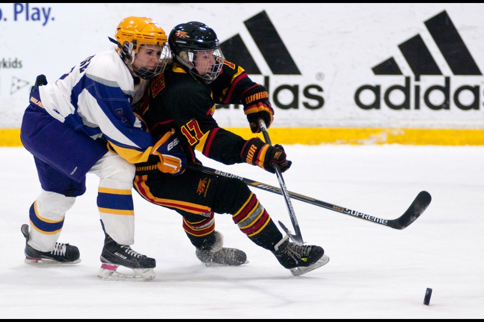 Averi Nooren (17) of the Guelph Gryphons tries to get to the puck ahead of Cassandra Calabrese (7) of the Laurier Golden Hawks during Wednesday's OUA women's hockey league playoff game at the Gryphon Centre. The Gryphs won 2-1. Rob Massey for GuelphToday.