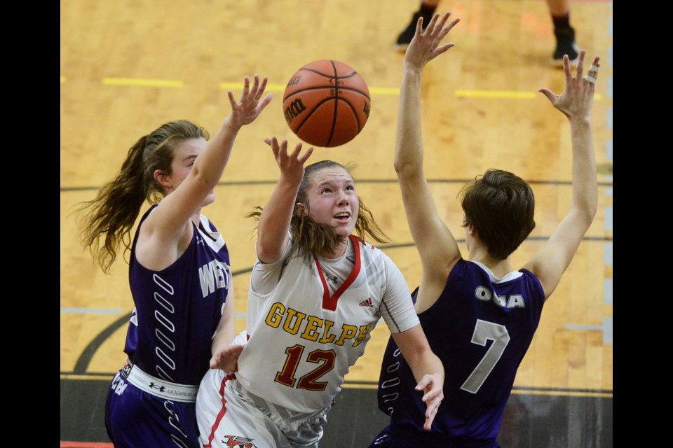 Julia Kokonis of the Guelph Gryphons splits the Western defence for a layup. Tony Saxon/GuelphToday
