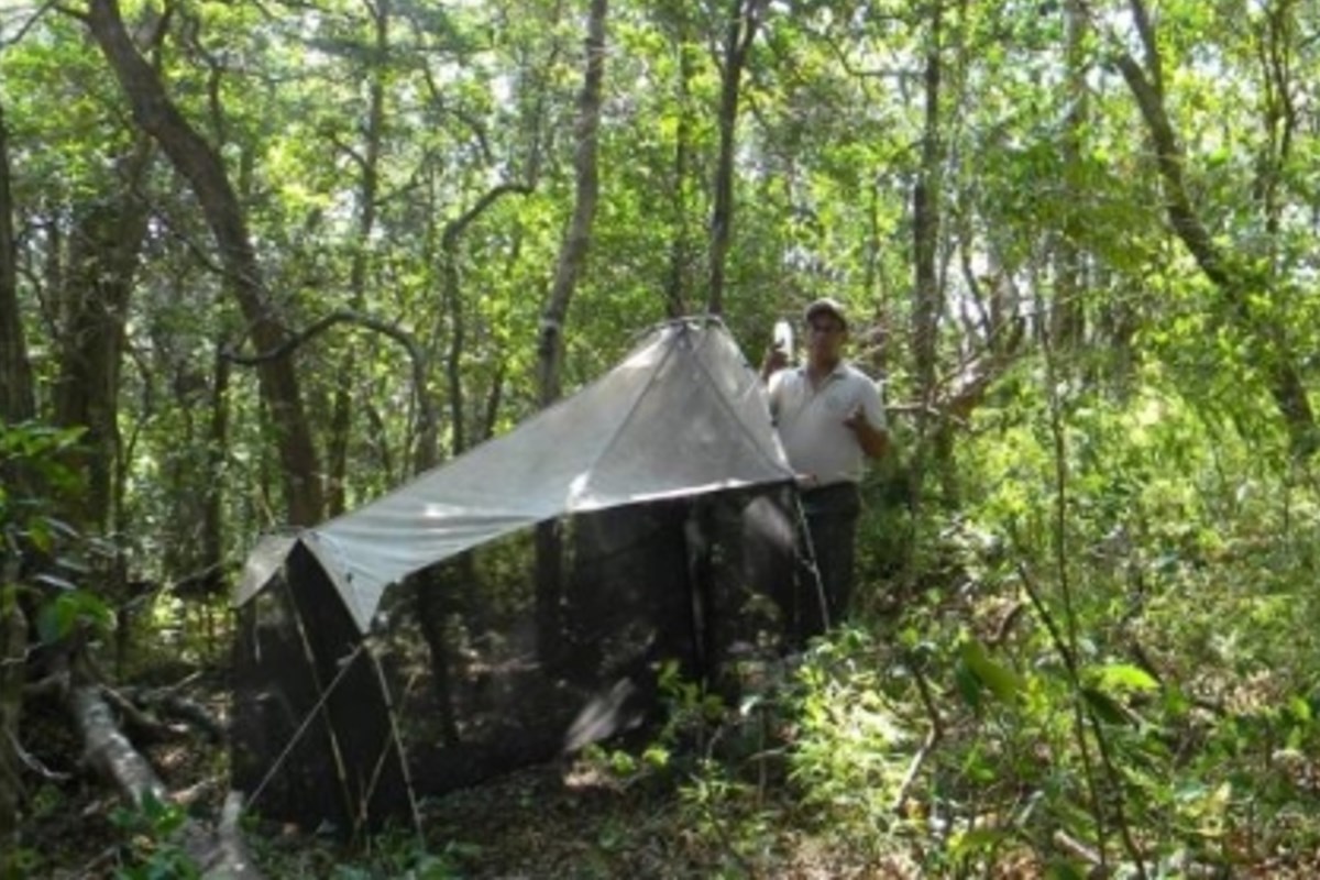 Photo of El nuevo financiamiento permitirá a la U de G continuar promoviendo la biodiversidad