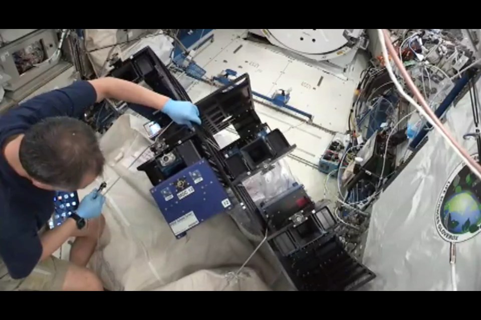 An ISS crew member prepares a tray that will transfer experiments to the MISSE.