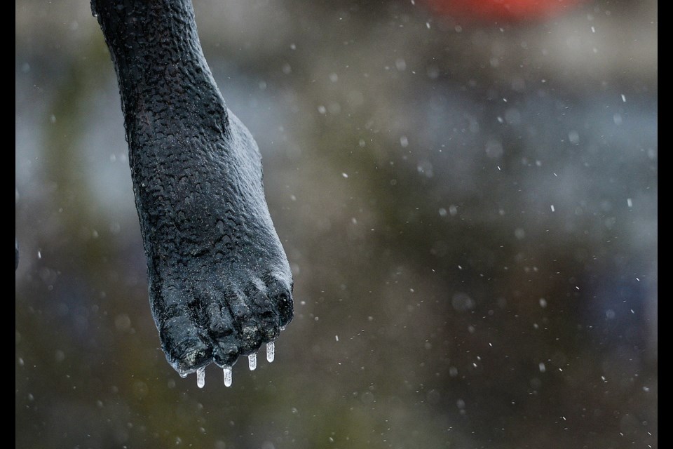 Chilly toes for The Family statue. Tony Saxon/GuelphToday