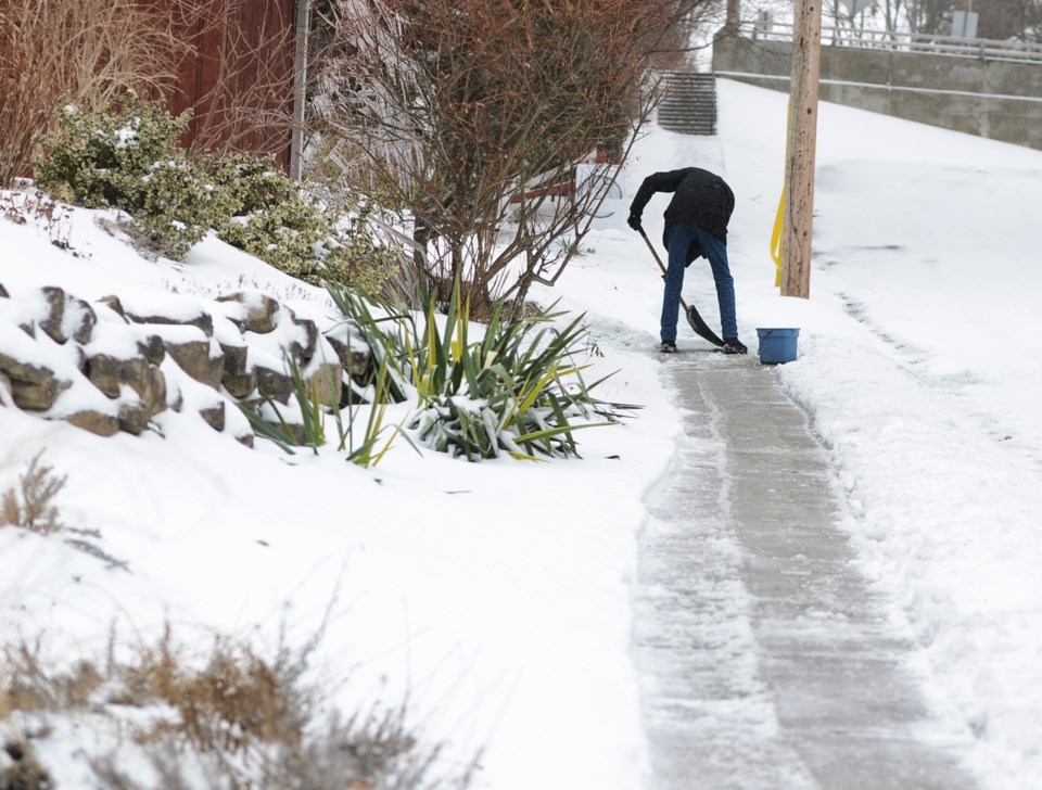 20190212 snow day ts 6