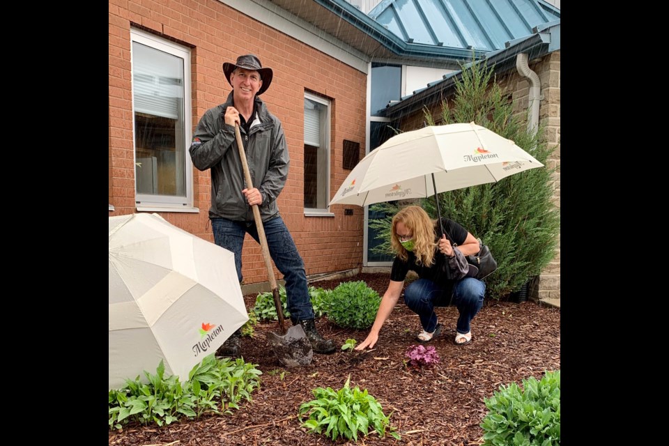 Rain didn't stop Mapleton mayor Gregg Davidson from planting a pumpkin at the township office. Supplied photo
