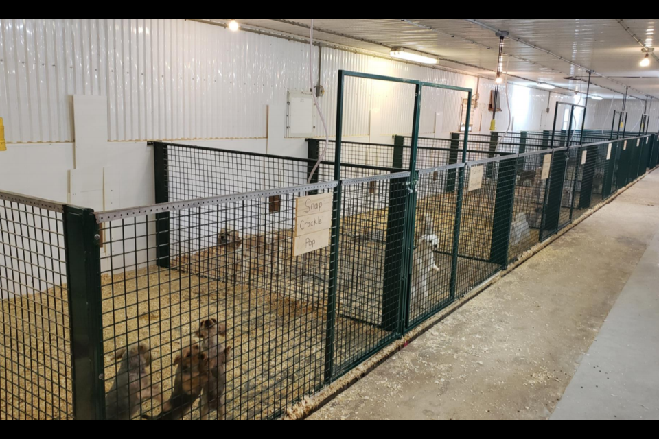 A picture showing conditions from bylaw officer Cam Forbes' inspection of Minto Kennels. 