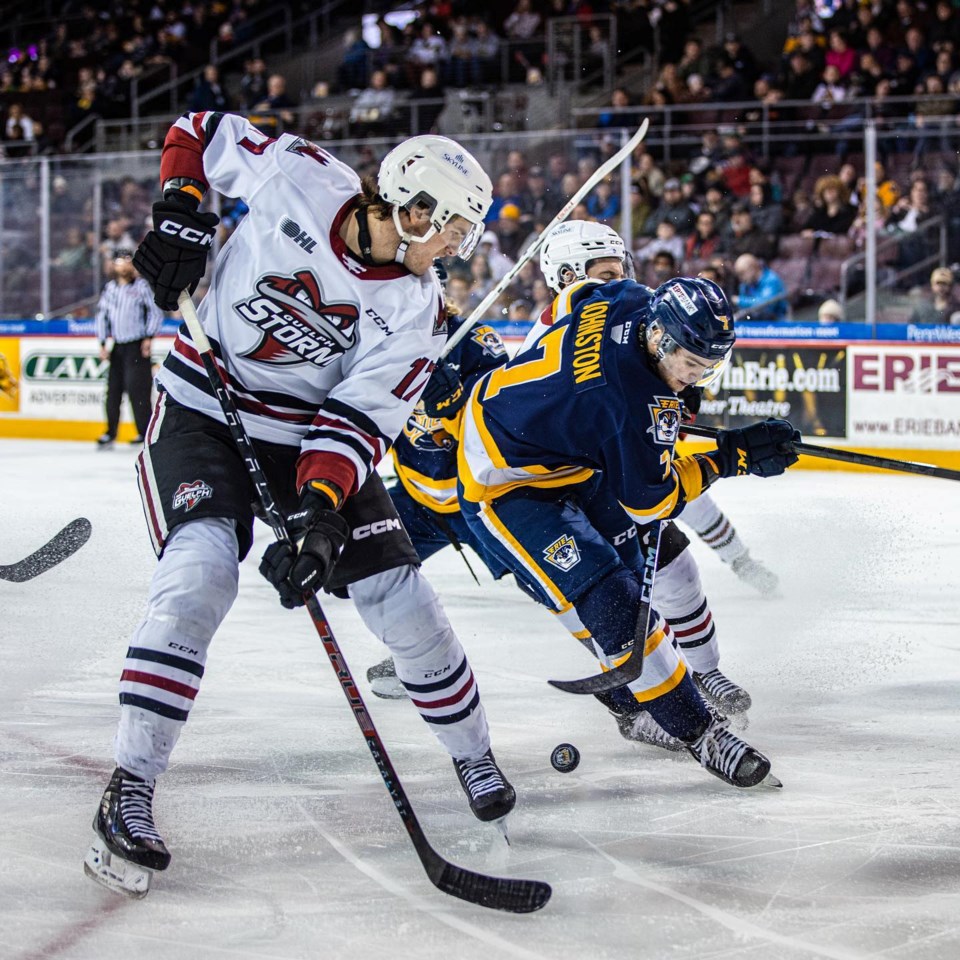 guelph-storm-2