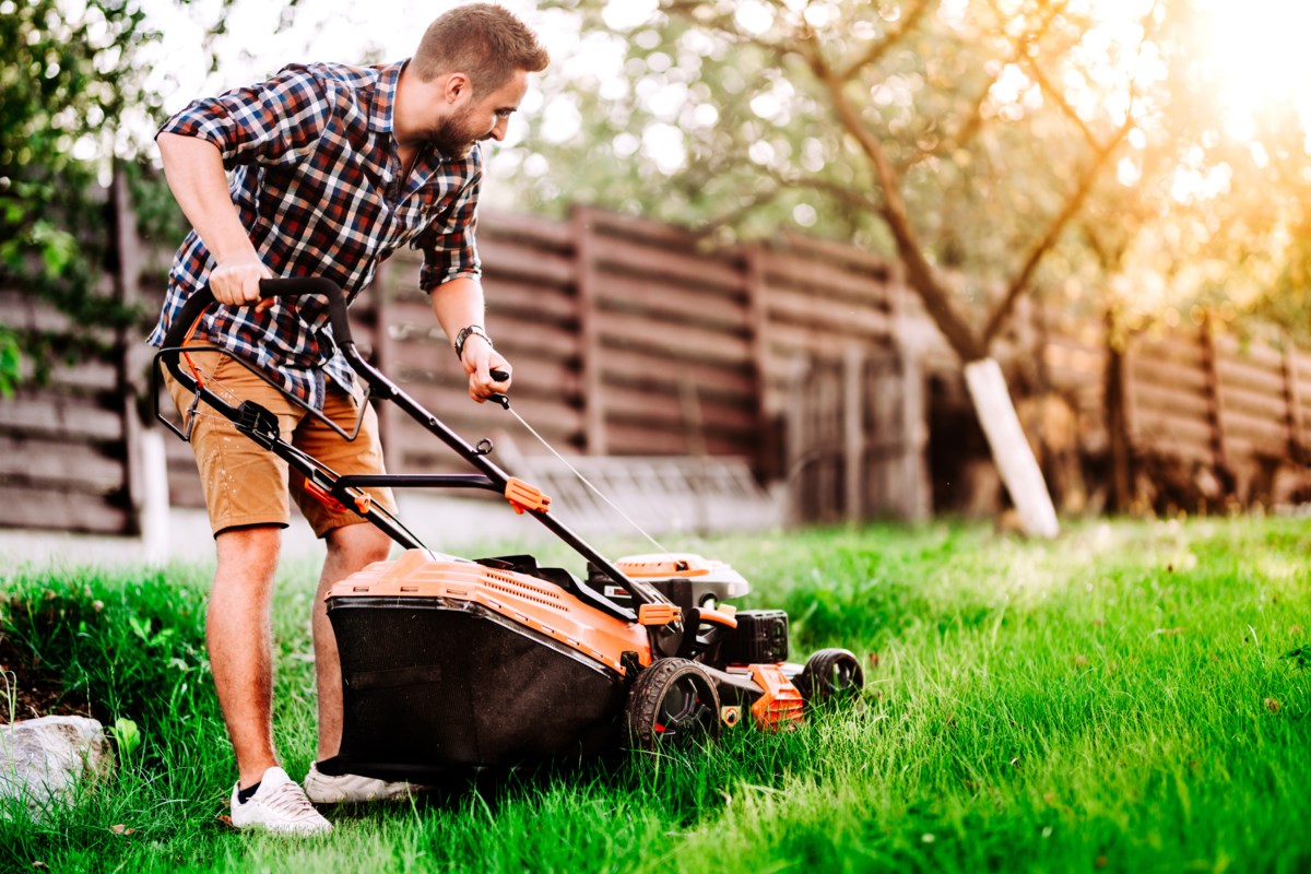 Choosing the right lawn mower begins at home - Guelph News