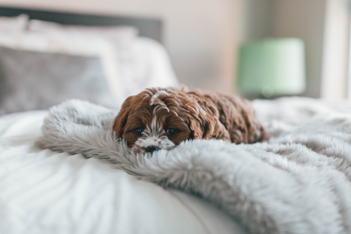 Having an efficient HVAC system provides homeowners with more than just comfort