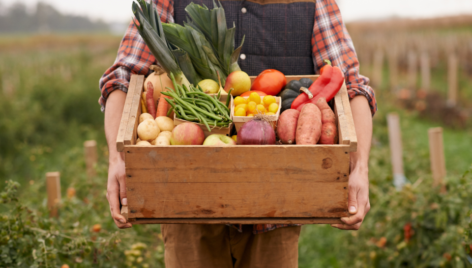 basket-of-fruit-and-veggies