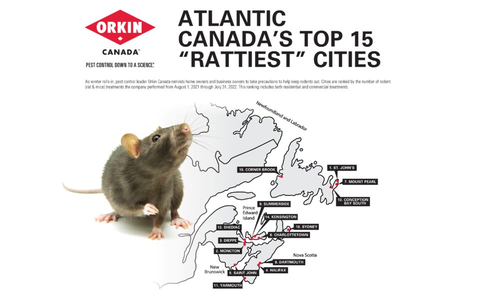 101922-rattiest-cities-atlantic-canada-2022-orkin