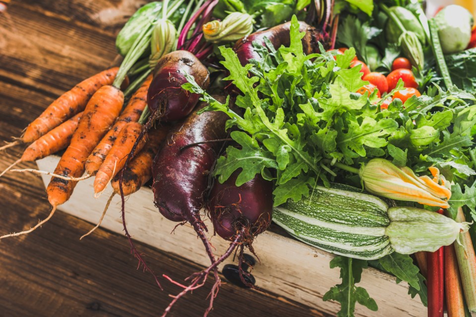 060420 - food harvest farm garden organic vegetables produceAdobeStock_218038929