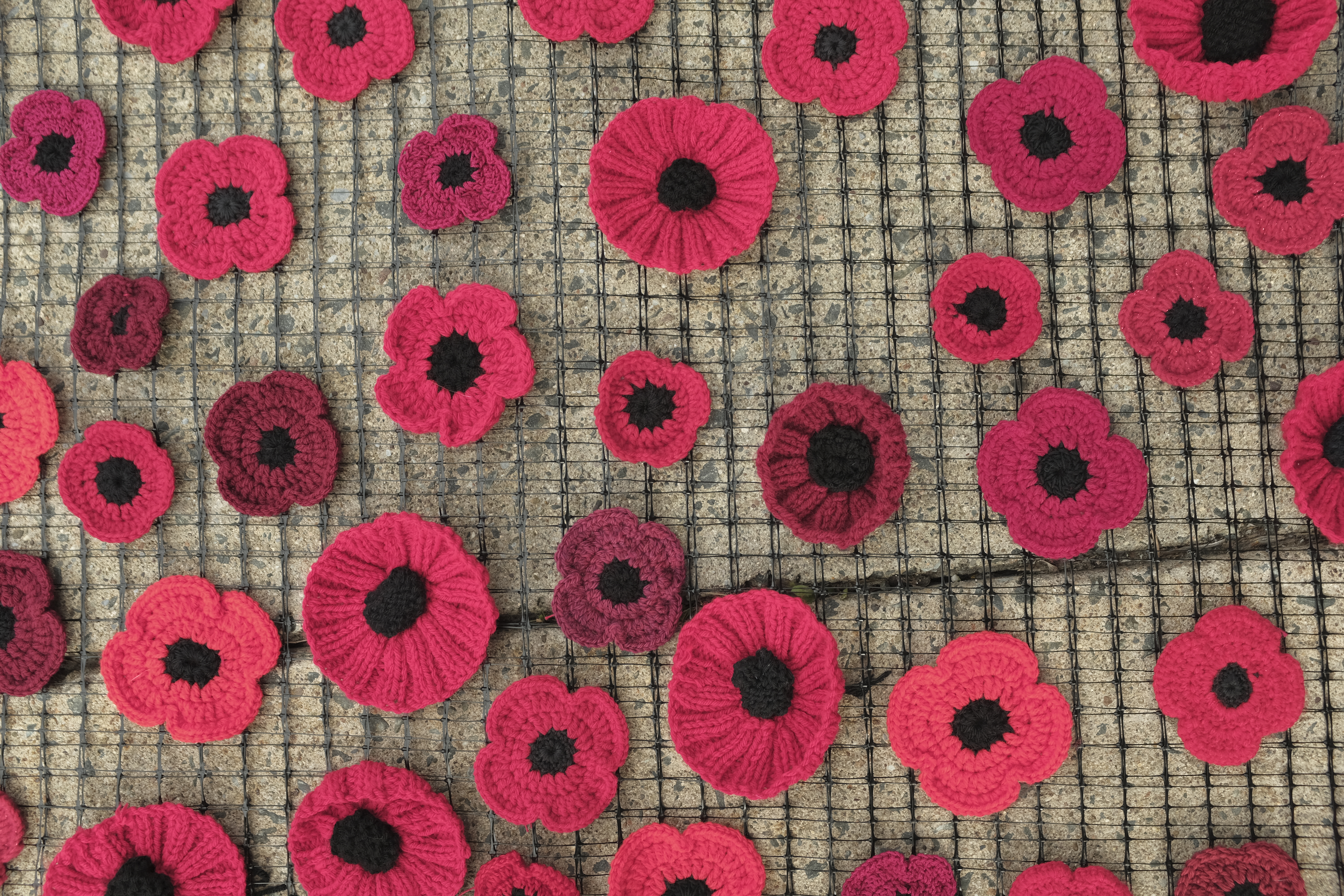 A banner of knit poppies, laying on the ground.