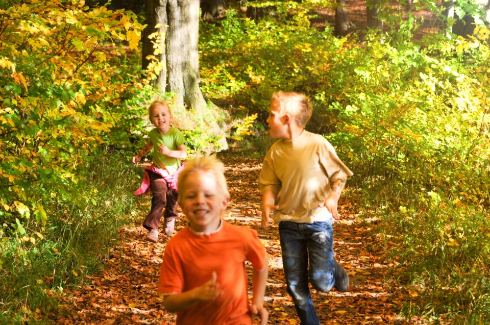 071718-nature-outdoors-woods-forest-play-kids-children-AdobeStock_95620529