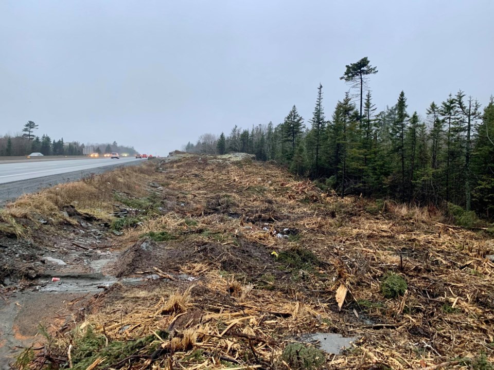 Wildlife biologist calls highway tree-cutting 'excessive' - HalifaxToday.ca