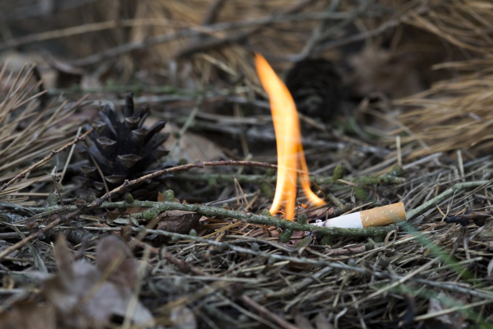 082219-forest fire-brush fire-dry conditions-drought-cigarette safety-AdobeStock_86073350