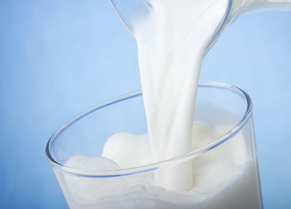 food rich in protein, milk