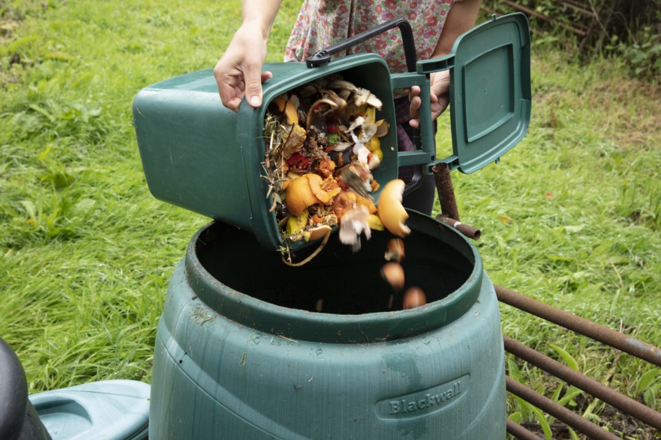 101320 - compost -  composting - AdobeStock_371762244