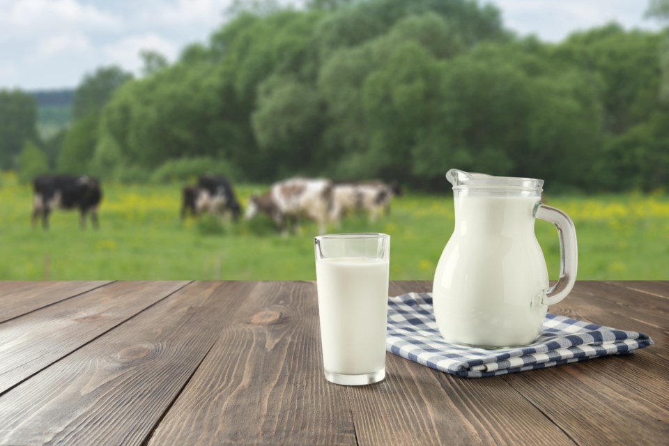 101620 - milk - dairy - AdobeStock_281001895