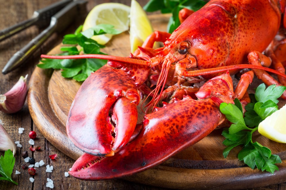 121718-lobster dinner-AdobeStock_203781321