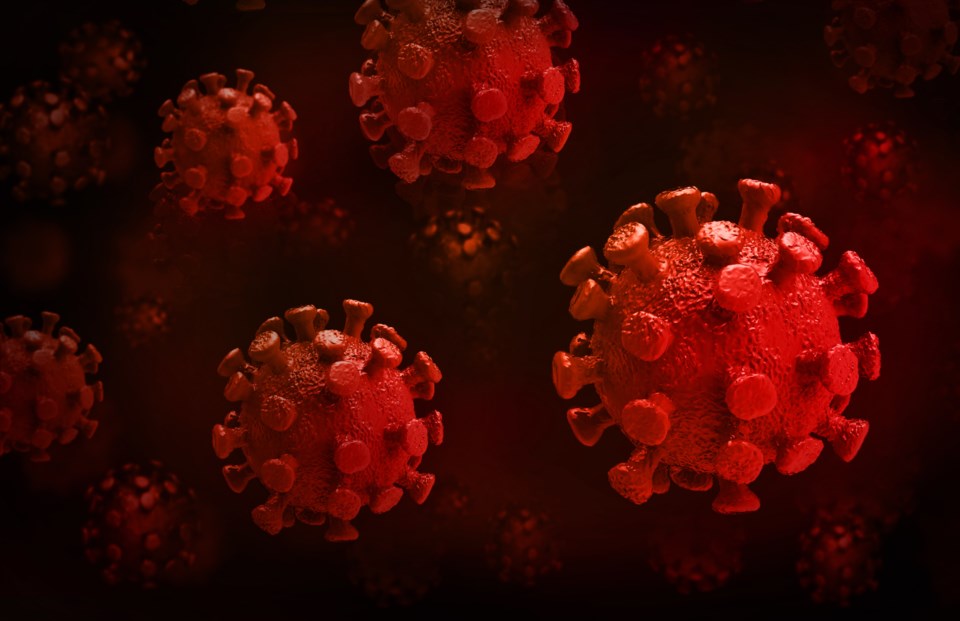 https://www.vmcdn.ca/f/files/halifaxtoday/images/health/032020-covid-coronavirus-adobestock_326922705.jpeg;w=960