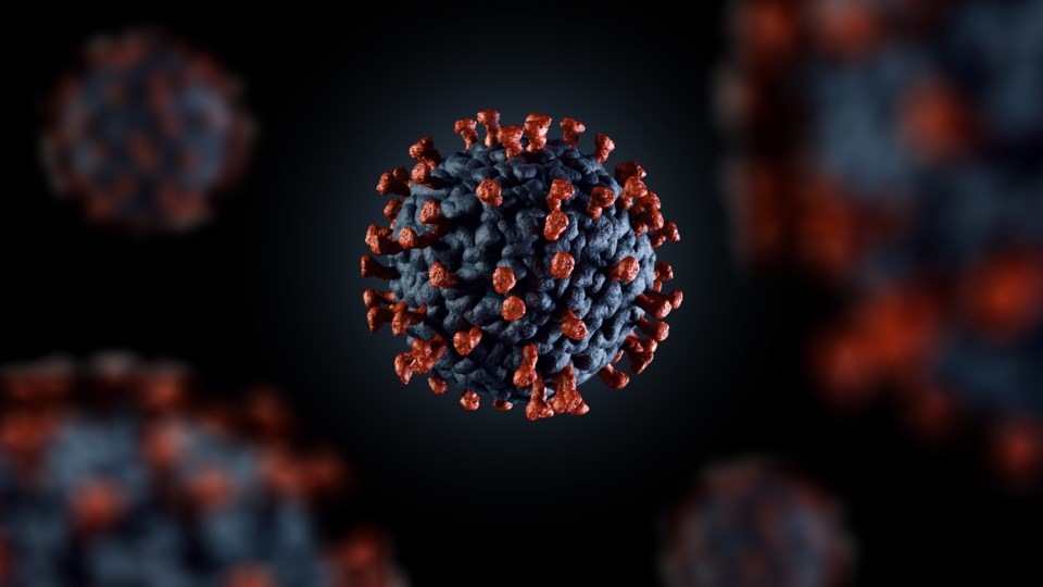 033120 - covid 19 - coronavirus  - covid virus