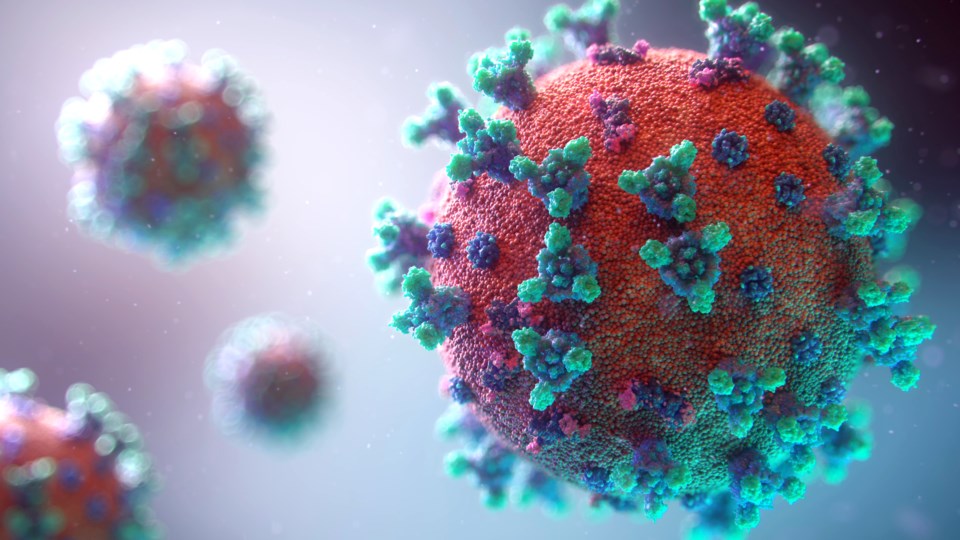 061720 - covid coronavirus - AdobeStock_330293007