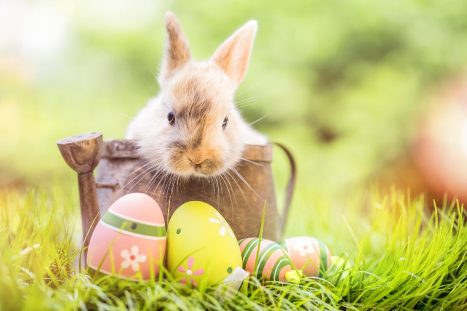 032918-easter-AdobeStock_136935968