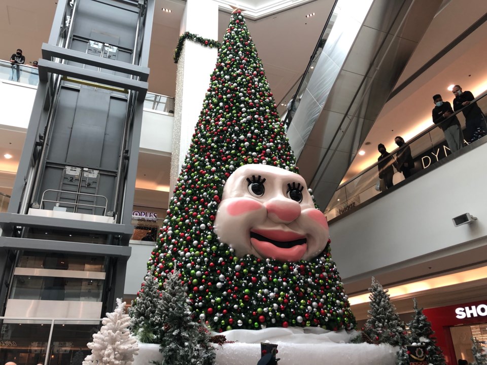 CNN airs report on Woody the Talking Christmas Tree CityNews Halifax