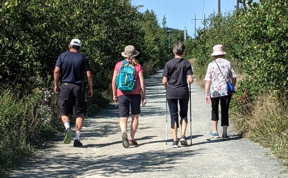 NS Walks