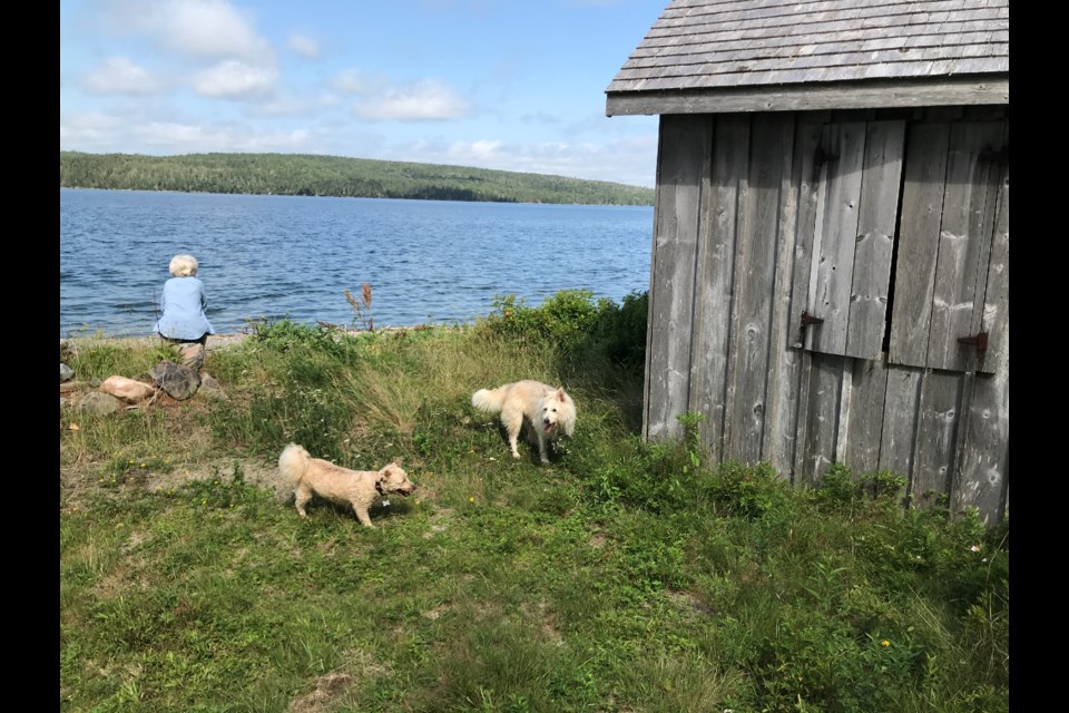 Smitty and his friend Phoebe play outside the Loyalist Building at Country Harbour.
Bluenose II is scheduled to anchor near here on September 10th. (Bruce MacNab)