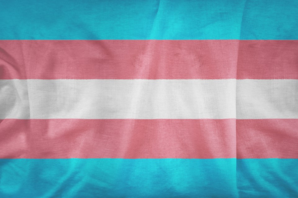 062819-transgender pride flag-trans pride