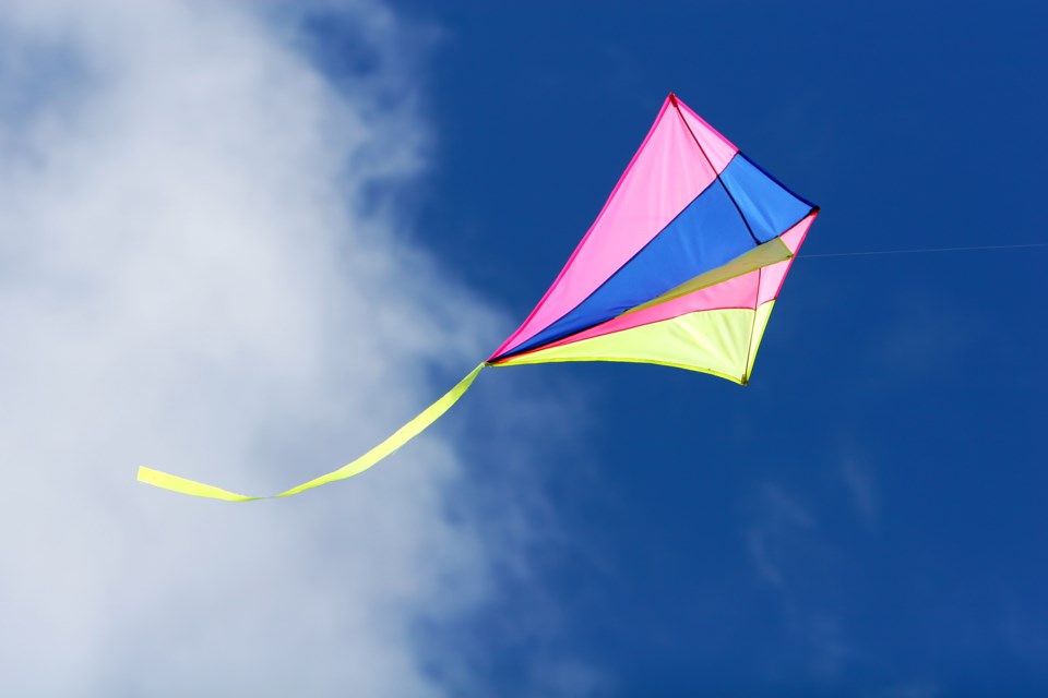 Kite Flight in Solidarity with Gaza lifts off this weekend - Barrie News
