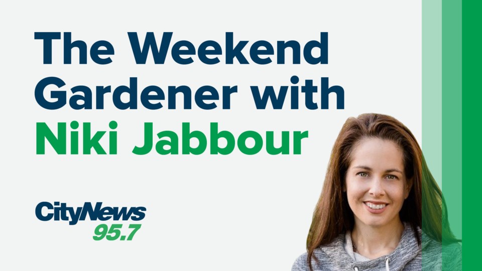 Audio Show - The Weekend Gardener with Niki Jabbour