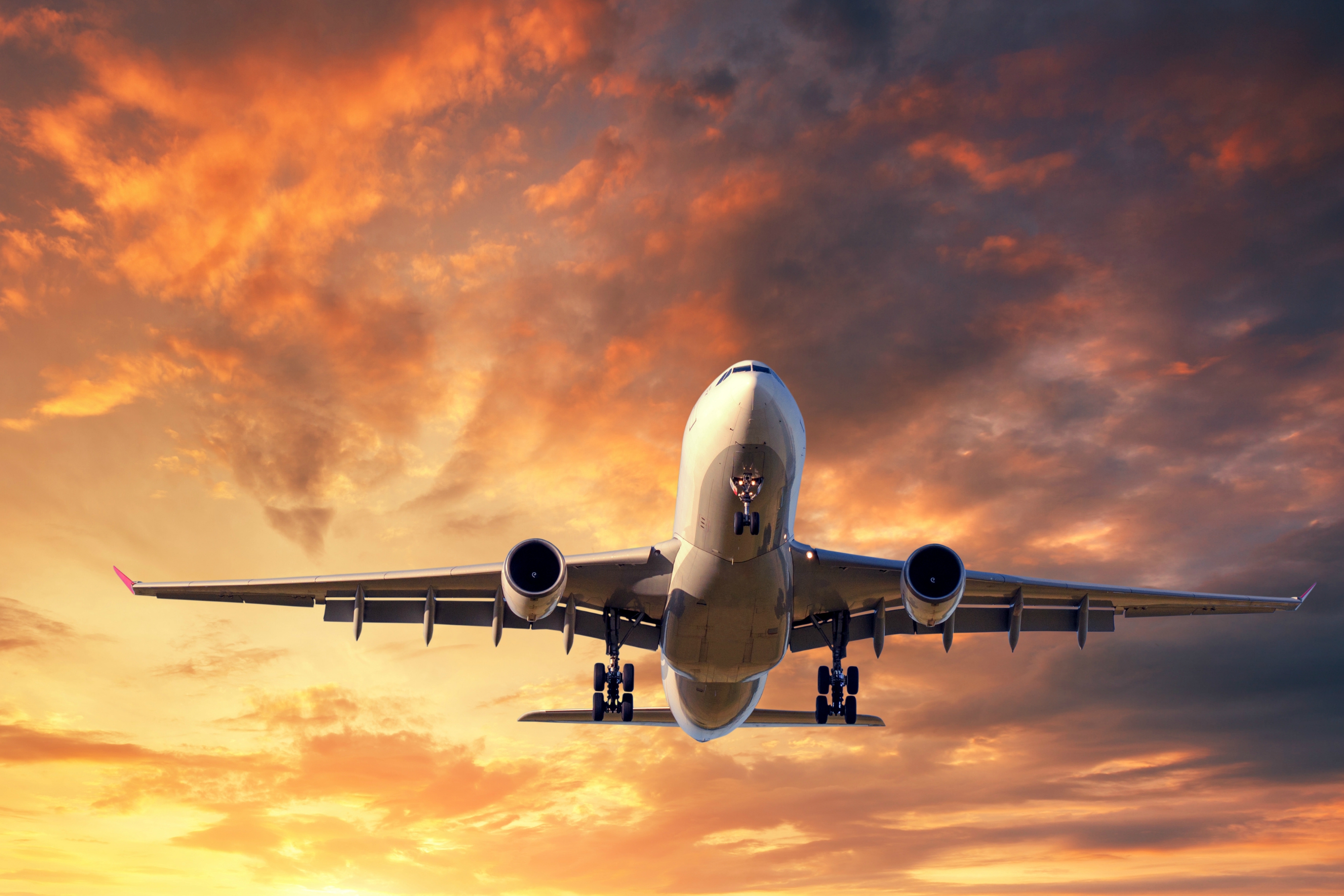 Trudeau Announces Suspended Flights Mandatory 3 Day Hotel Quarantine For Travellers Halifaxtoday Ca