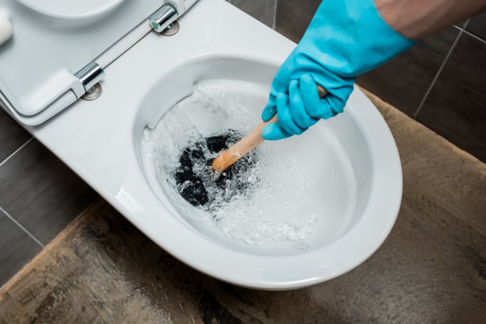 032020- toilet plunger AdobeStock_309370491